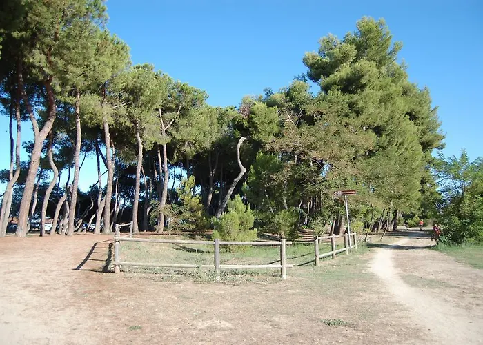 Hotel Jean Pierre 3*